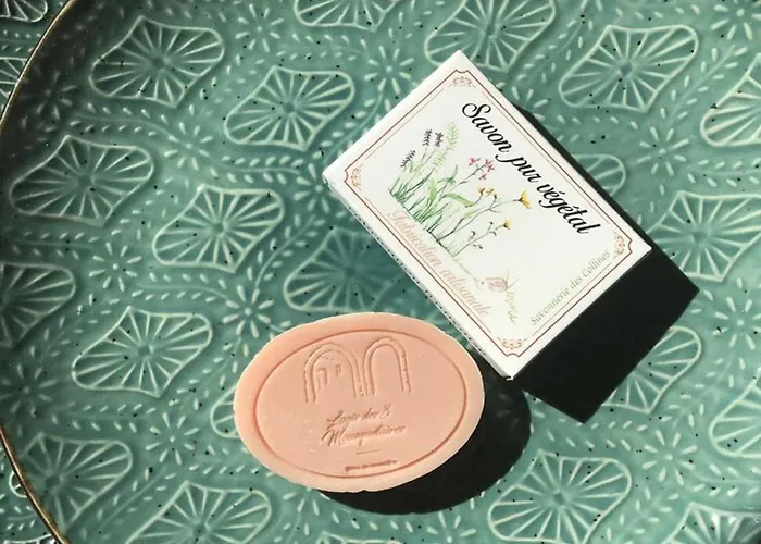 Hébergement de vacances élégant 18ème Siècle Rénové Avec Piscine Couverte, Terrasse Et Grand Terrain Aux Herbiers. - Fr-1-426-406 *