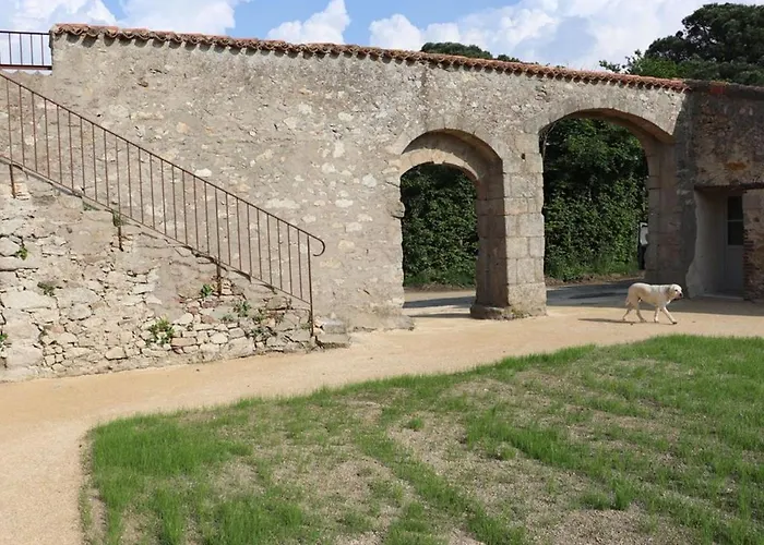 élégant 18ème Siècle Rénové Avec Piscine Couverte, Terrasse Et Grand Terrain Aux Herbiers. - Fr-1-426-406 Hébergement de vacances *